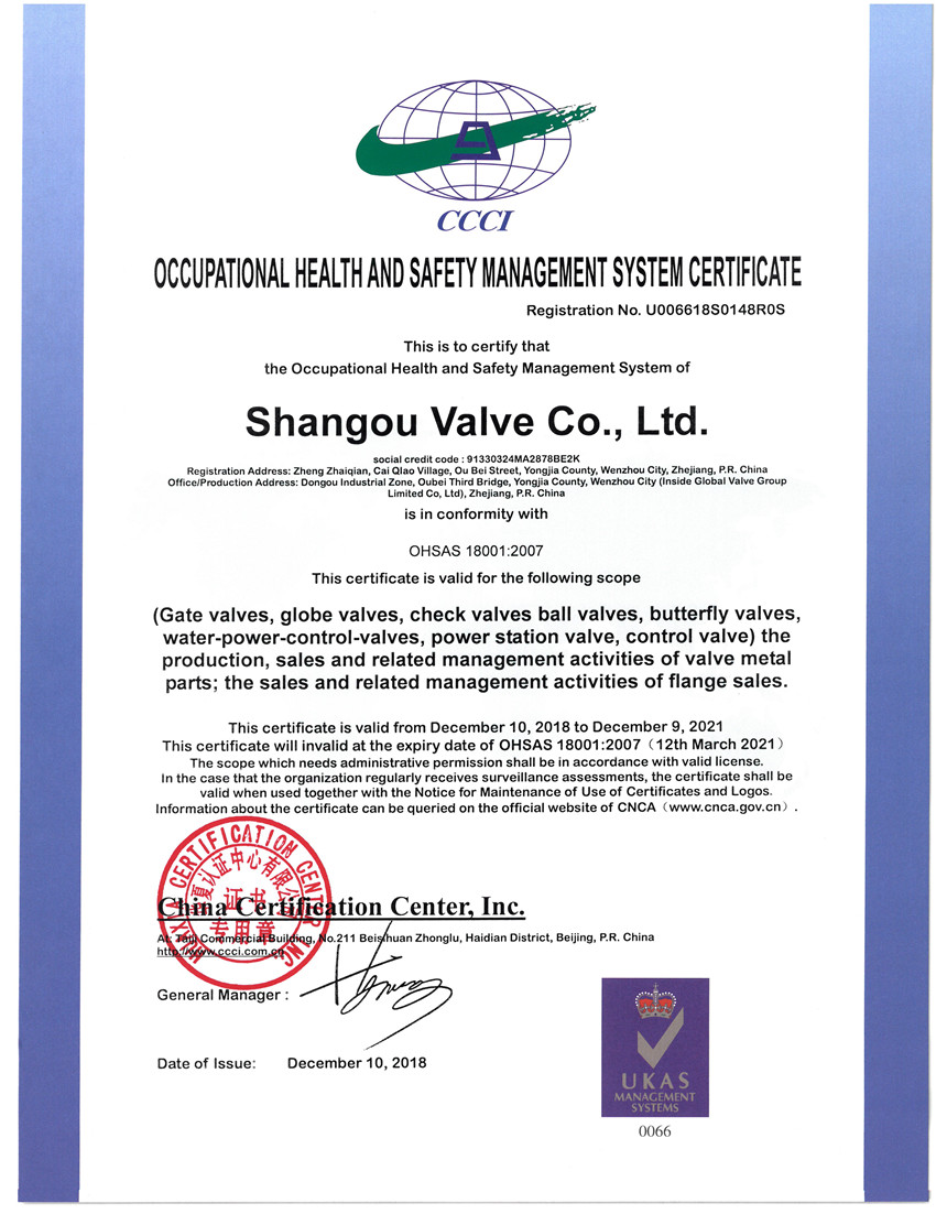 ISO18001 2007�I(y��)���������wϵ�J�C��Ӣ�ģ�.jpg